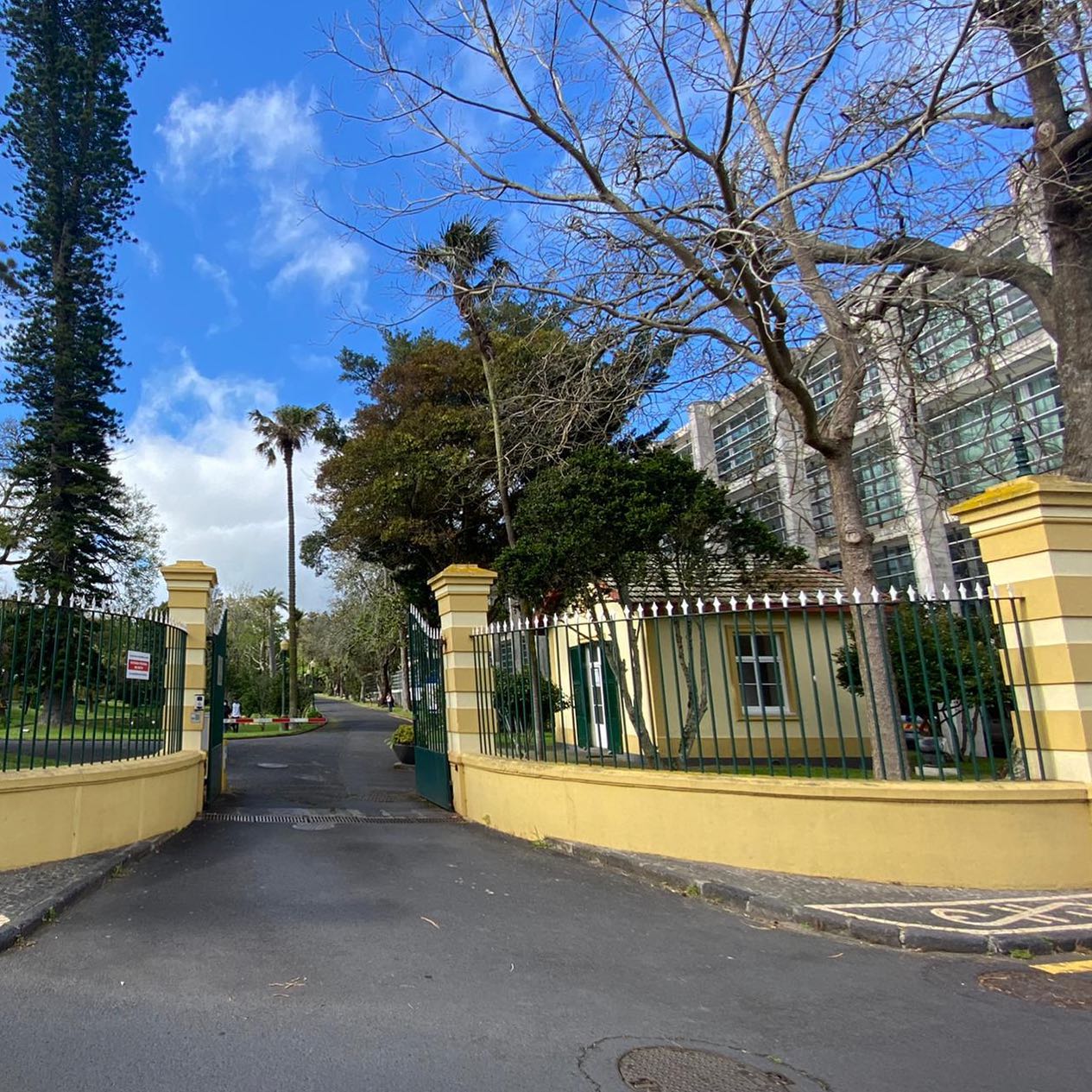 The University of the Azores fills 87% of its open places for the ...